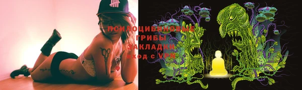 молекула духа Богородицк