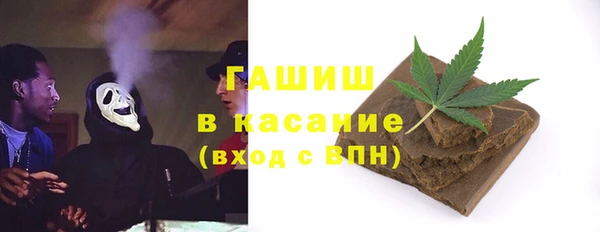 молекула духа Богородицк