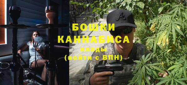 тгк Бородино
