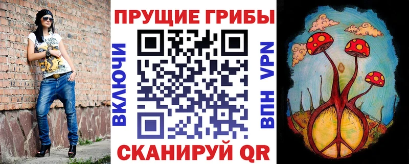 OMG вход  Биробиджан  Галлюциногенные грибы прущие грибы 